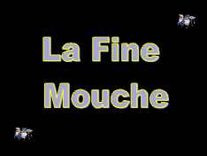 la fine mouche.jpg
